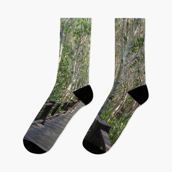 Item preview, The magic of roots and foliage in Pran Buri National Park	 designed and sold by franck380.