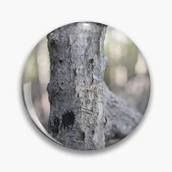 Item preview, The magic of roots and foliage in Pran Buri National Park	 designed and sold by franck380.