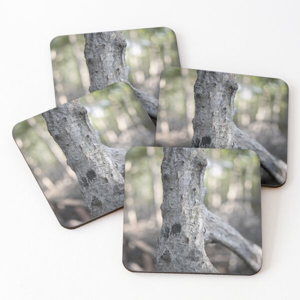 Item preview, The magic of roots and foliage in Pran Buri National Park	 designed and sold by franck380.