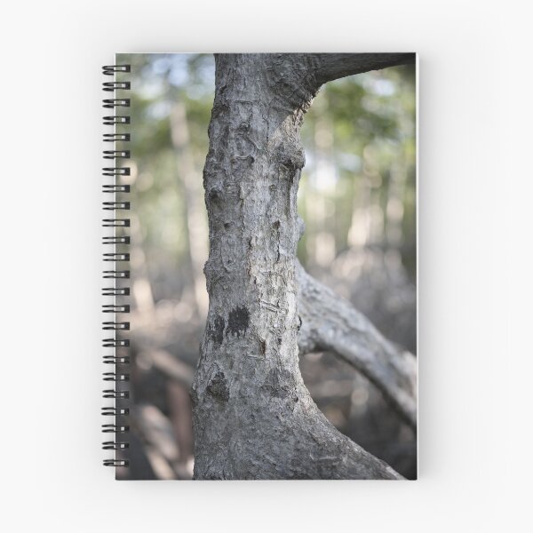 Item preview, The magic of roots and foliage in Pran Buri National Park	 designed and sold by franck380.