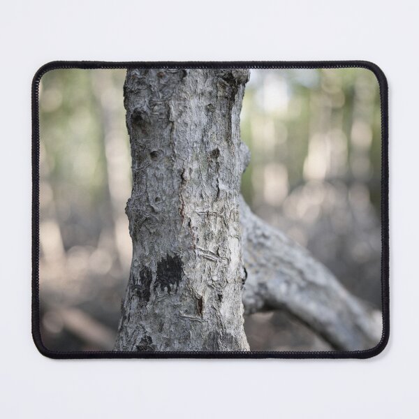 Item preview, The magic of roots and foliage in Pran Buri National Park	 designed and sold by franck380.