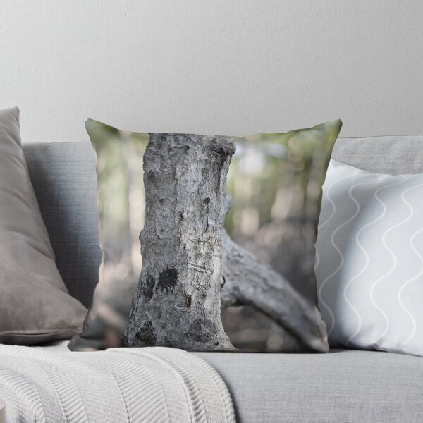 Item preview, The magic of roots and foliage in Pran Buri National Park	 designed and sold by franck380.
