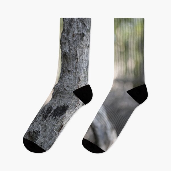 Item preview, The magic of roots and foliage in Pran Buri National Park	 designed and sold by franck380.