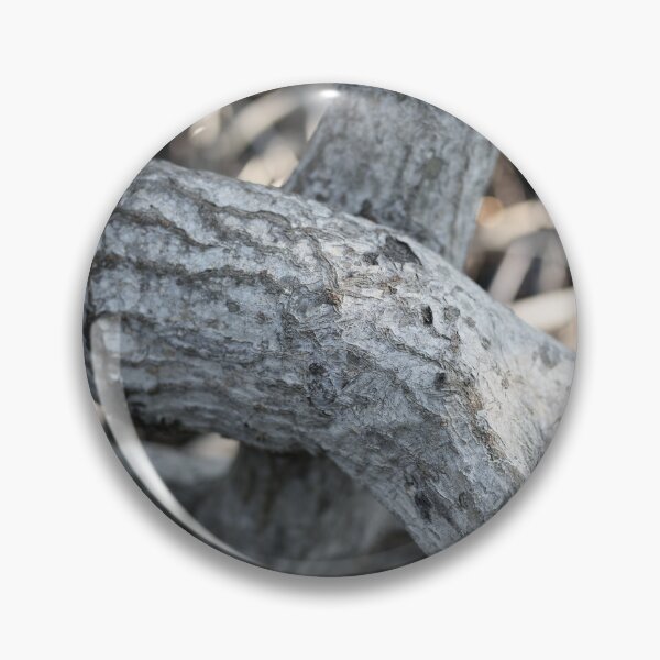 Item preview, The magic of roots and foliage in Pran Buri National Park	 designed and sold by franck380.
