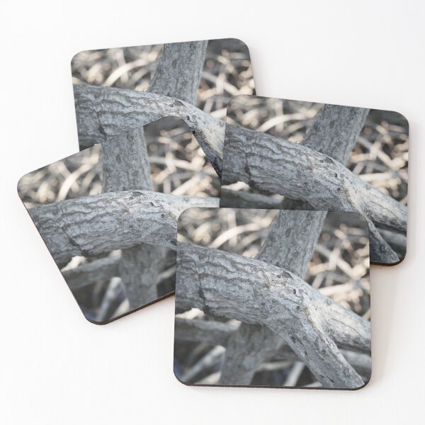 Item preview, The magic of roots and foliage in Pran Buri National Park	 designed and sold by franck380.