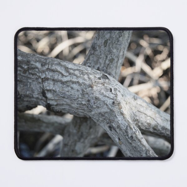 Item preview, The magic of roots and foliage in Pran Buri National Park designed and sold by franck380.