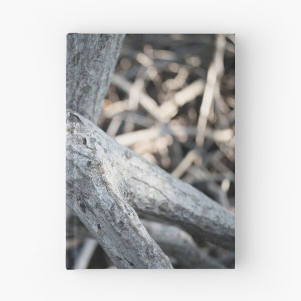 Item preview, The magic of roots and foliage in Pran Buri National Park	 designed and sold by franck380.