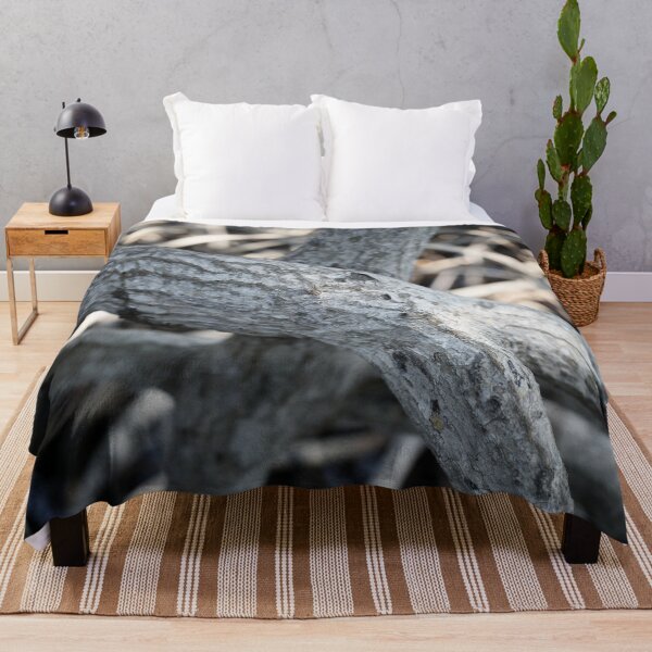 Item preview, The magic of roots and foliage in Pran Buri National Park	 designed and sold by franck380.