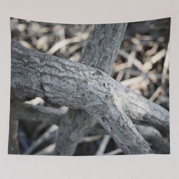 Item preview, The magic of roots and foliage in Pran Buri National Park	 designed and sold by franck380.