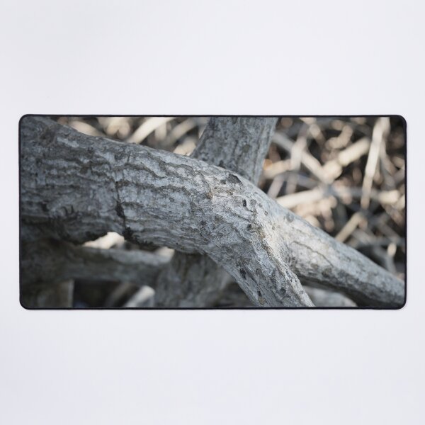 Item preview, The magic of roots and foliage in Pran Buri National Park	 designed and sold by franck380.