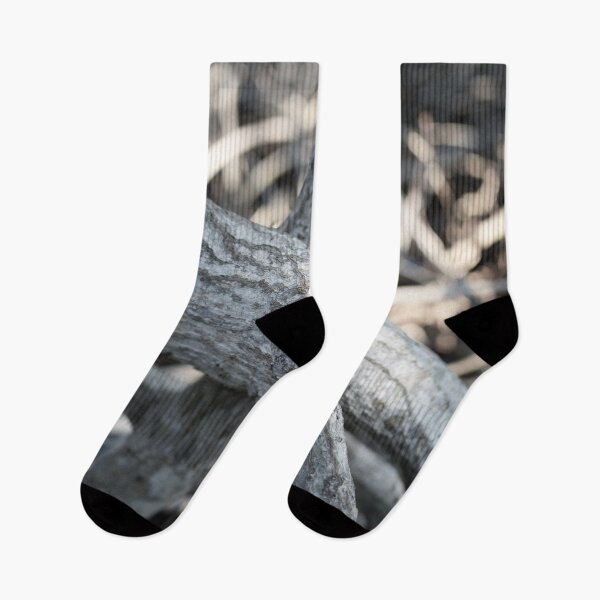 Item preview, The magic of roots and foliage in Pran Buri National Park	 designed and sold by franck380.