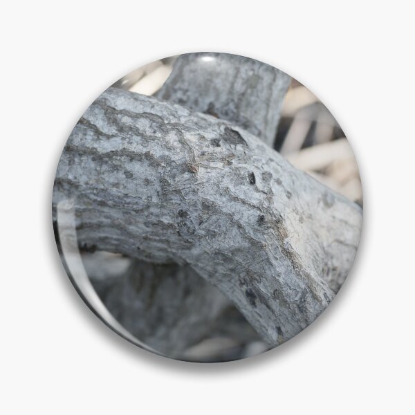 Item preview, The magic of roots and foliage in Pran Buri National Park	 designed and sold by franck380.
