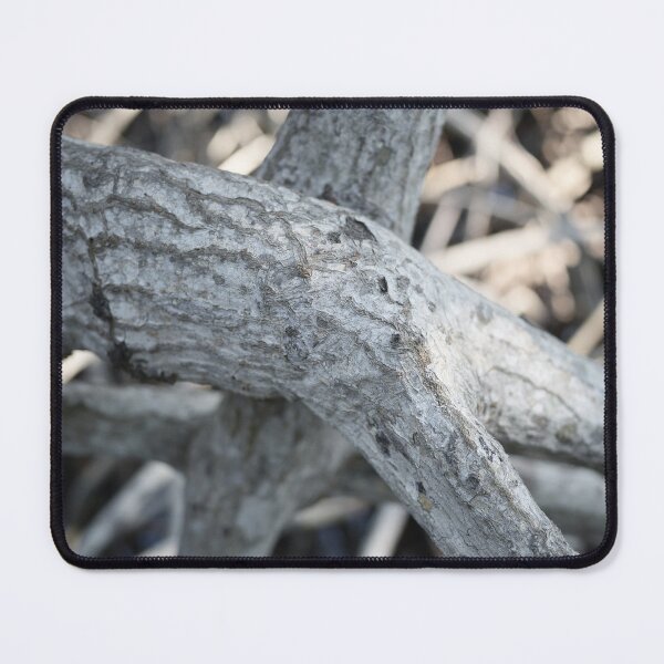 Item preview, The magic of roots and foliage in Pran Buri National Park	 designed and sold by franck380.