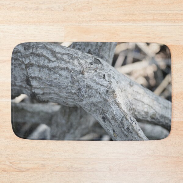 Item preview, The magic of roots and foliage in Pran Buri National Park	 designed and sold by franck380.