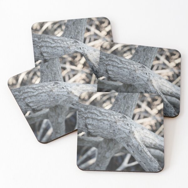 Item preview, The magic of roots and foliage in Pran Buri National Park	 designed and sold by franck380.