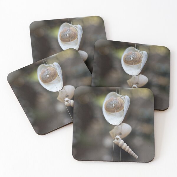 Item preview, Hanging shells, ephemeral poetry in Thailand	 designed and sold by franck380.