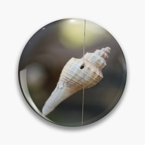 Item preview, Hanging shells, ephemeral poetry in Thailand	 designed and sold by franck380.