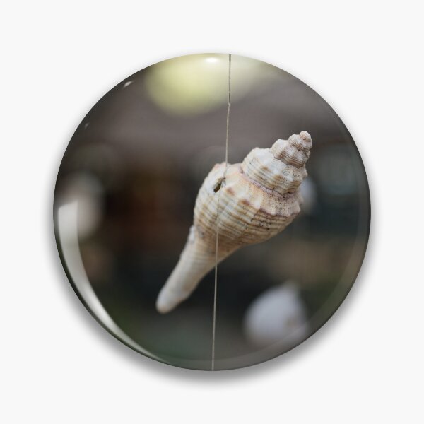 Item preview, Hanging shells, ephemeral poetry in Thailand	 designed and sold by franck380.