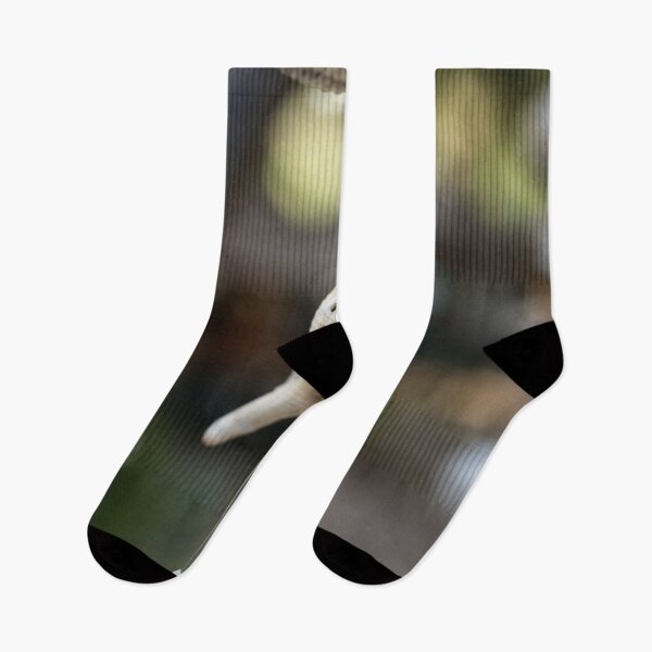 Item preview, Hanging shells, ephemeral poetry in Thailand	 designed and sold by franck380.