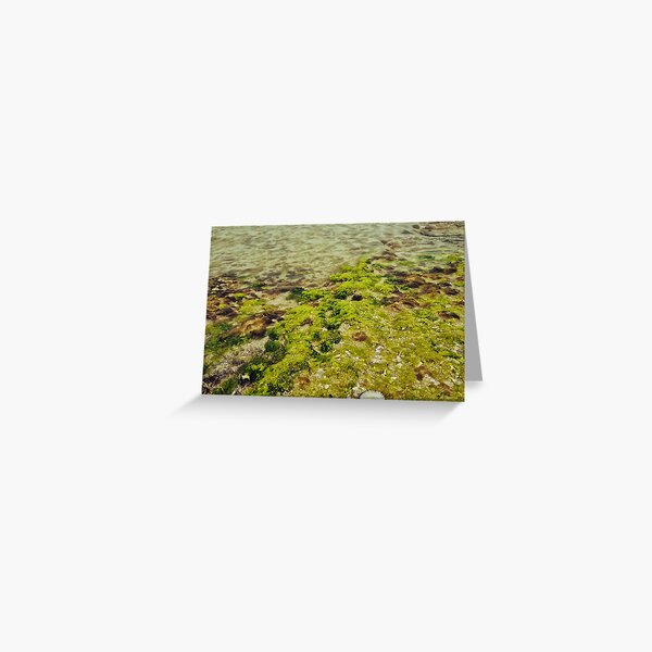 Item preview, Beautiful reef  designed and sold by MaggicalPhotos.