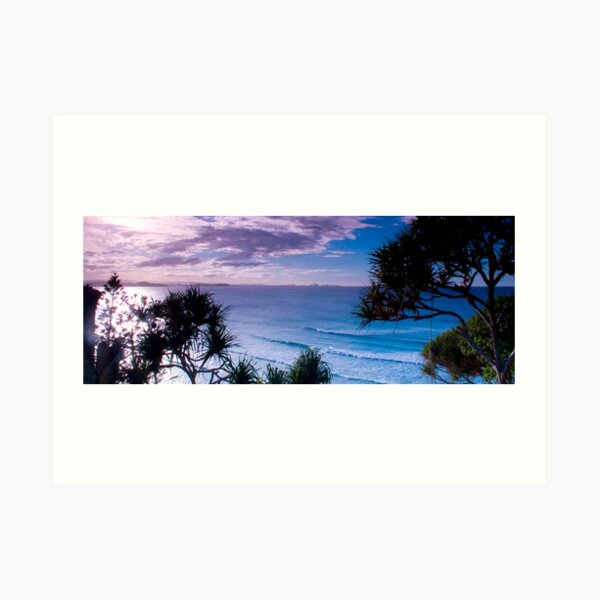 point danger view Art Print