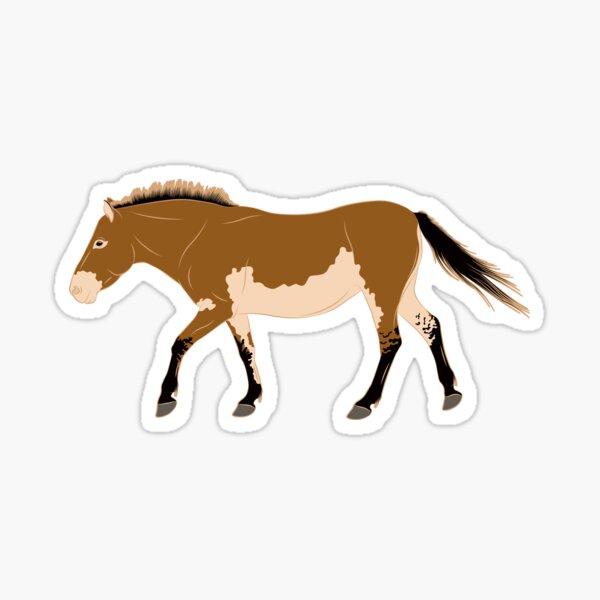 Aperçu de l'œuvre Cheval de Przewalski, cheval primitif, cheval isabelle, races de chevaux de la Mongolie créée et vendue par WebEquitation®.
