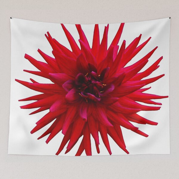 Item preview, A cutout photo of a red dahlia designed and sold by Foundry88.