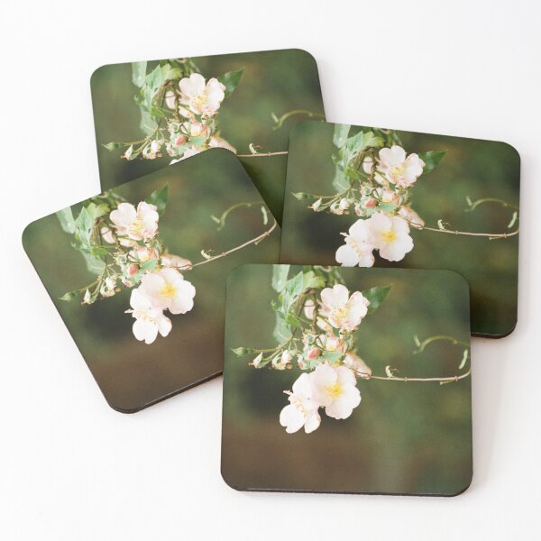 Item preview, Hanging Vines designed and sold by Phil Bothwell Photography.