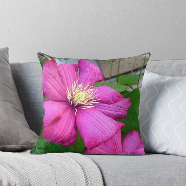 Item preview, Clematis designed and sold by Ana Belaj.