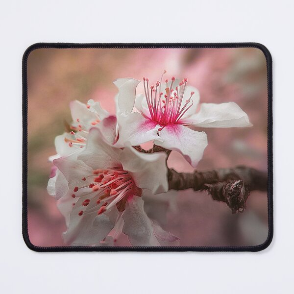 Item preview, Almond blossom  designed and sold by Shury Vision Art.