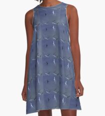 Birds Of Pedasi, In The Dry Arc Of Panama A-Line Dress
