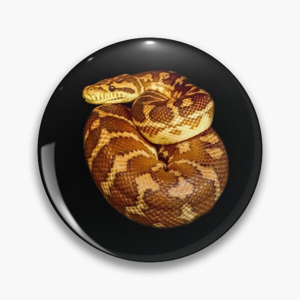 Item preview, Carpet python designed and sold by Guardi71.