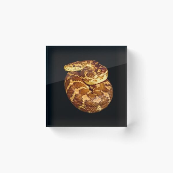 Item preview, Carpet python designed and sold by Guardi71.