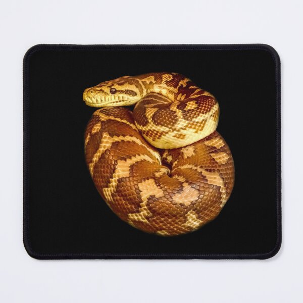 Item preview, Carpet python designed and sold by Guardi71.