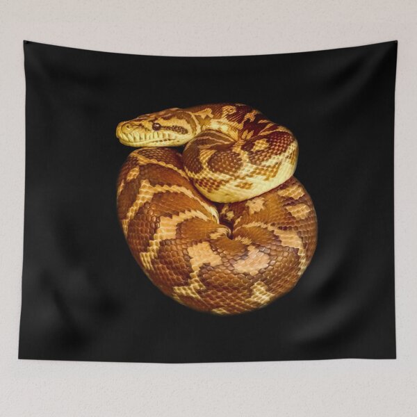 Item preview, Carpet python designed and sold by Guardi71.