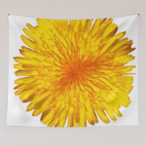 Item preview, Close up cutout photo of a dandelion flower designed and sold by Foundry88.