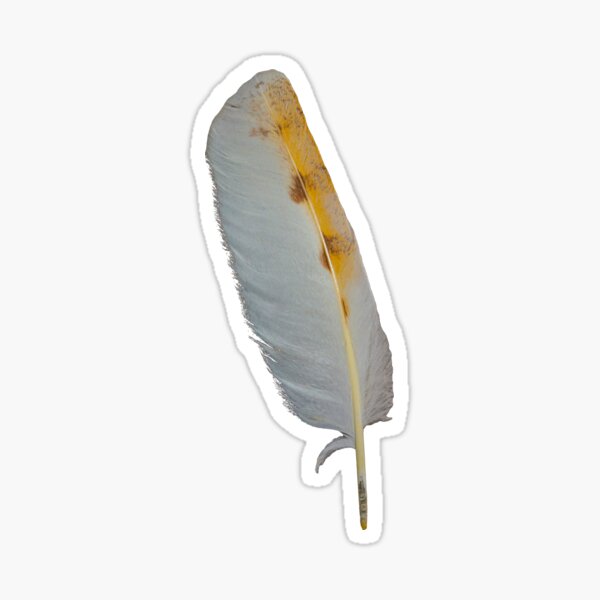 Item preview, Barn Owl feather designed and sold by OwlOccasions.