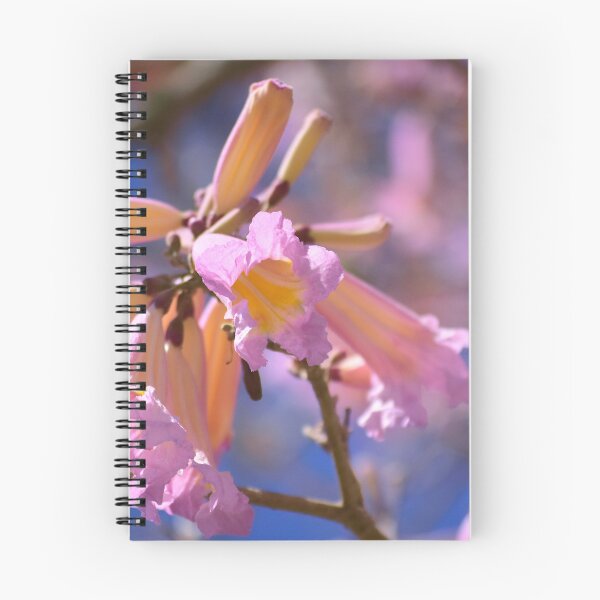 Item preview, Pink Tabebula Bloom designed and sold by MercerImages.