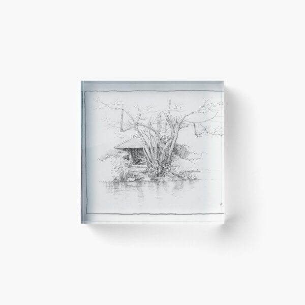 Artikelvorschau, Ein kahler Baum am Ufer des Schwanensees entworfen und verkauft von Anjuna Sainath.