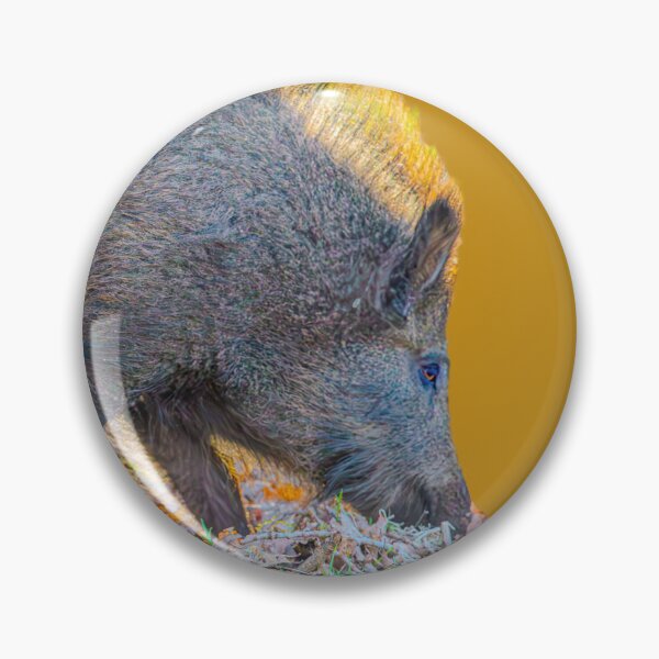 Item preview, Back-lit Boar designed and sold by Dalyndigital Photography.