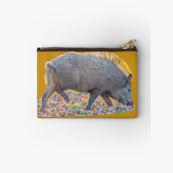 Item preview, Back-lit Boar designed and sold by Dalyndigital Photography.
