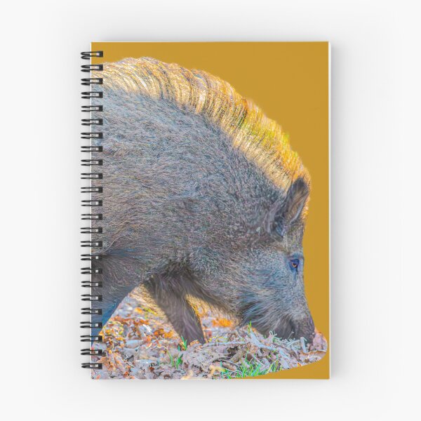Item preview, Back-lit Boar designed and sold by Dalyndigital Photography.