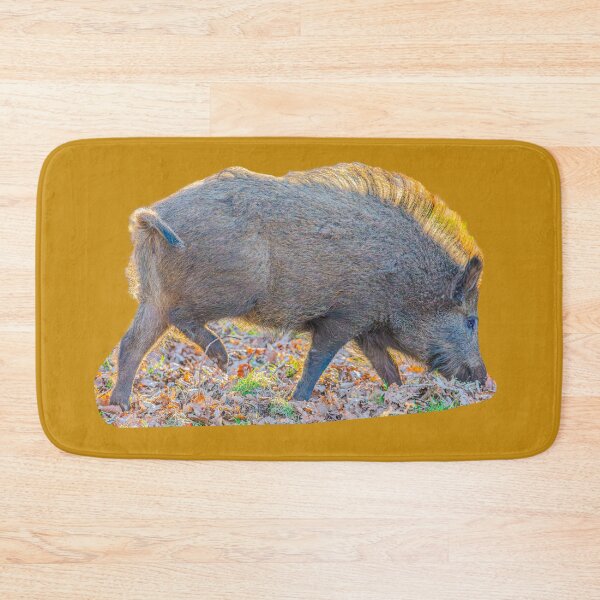 Item preview, Back-lit Boar designed and sold by Dalyndigital Photography.