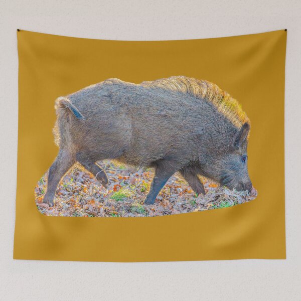 Item preview, Back-lit Boar designed and sold by Dalyndigital Photography.