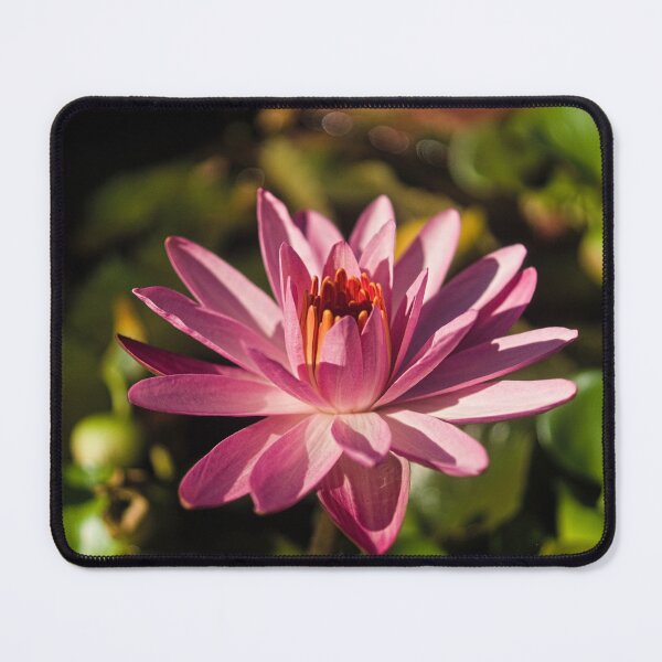Item preview, llk lotus designed and sold by pcfyi.
