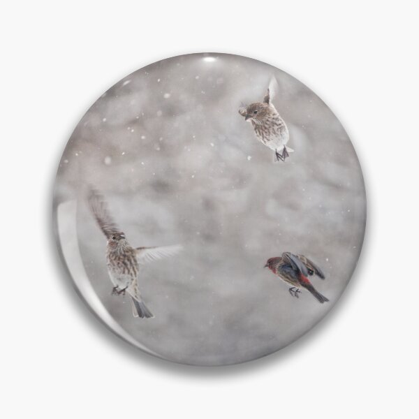 Item preview, Three Finches designed and sold by Brooke T Ryan Photographic Art.