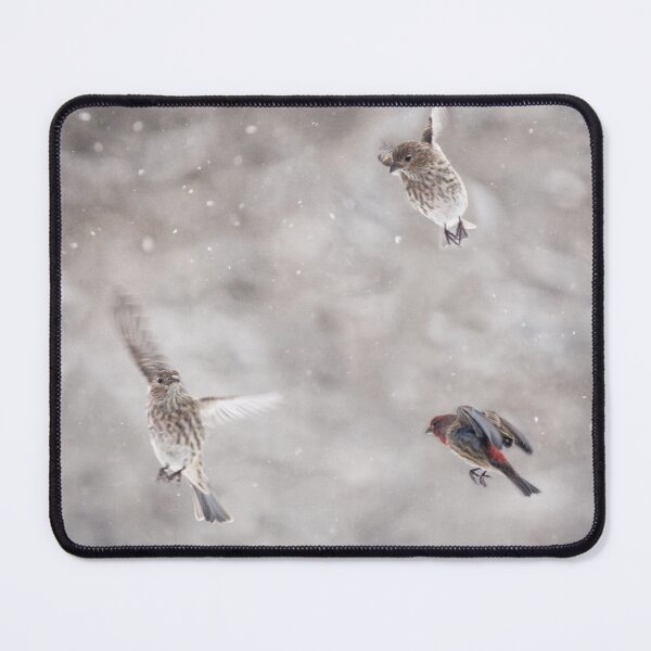 Item preview, Three Finches designed and sold by Brooke T Ryan Photographic Art.