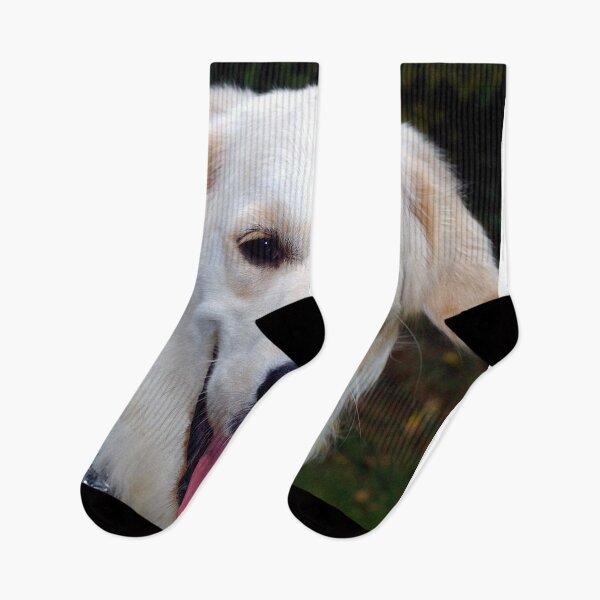 Item preview, Golden Retriever Dog Portrait designed and sold by AndyEvansPhotos.