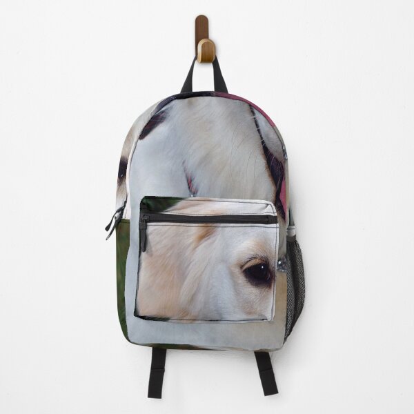 Item preview, Golden Retriever Dog Portrait designed and sold by AndyEvansPhotos.