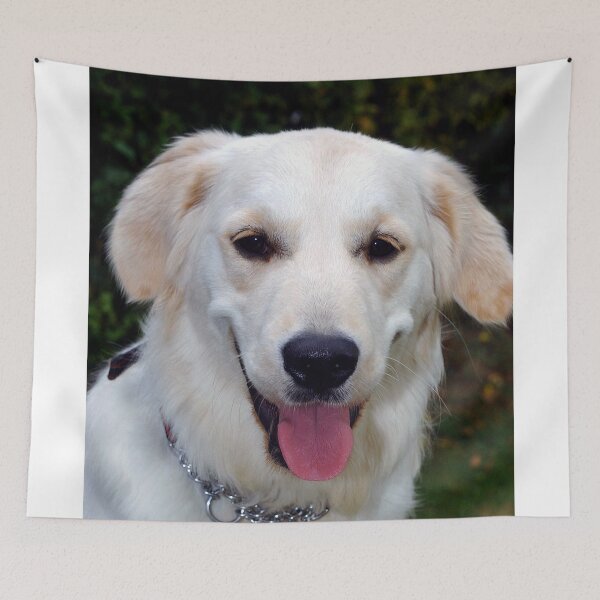 Item preview, Golden Retriever Dog Portrait designed and sold by AndyEvansPhotos.